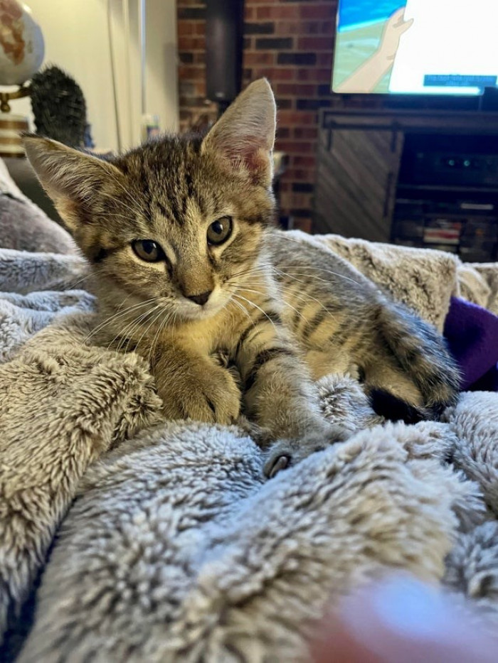 16. A lifetime of love awaits.