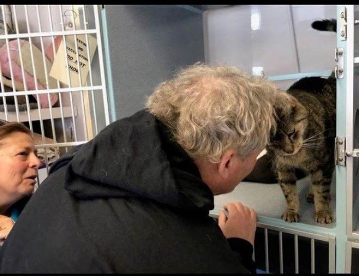 The cat looks calm in the woman’s arms, surrounded by shelter staff.