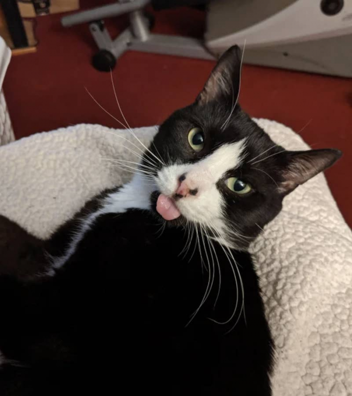 9. Some of theses might be the best mlem material I've ever seen. 