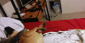  Well, that escalated quickly.