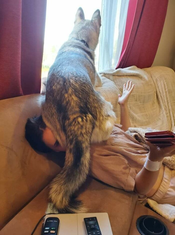 28. "My Dog Thinks I'm A Chair Sometimes. Oh Well"
