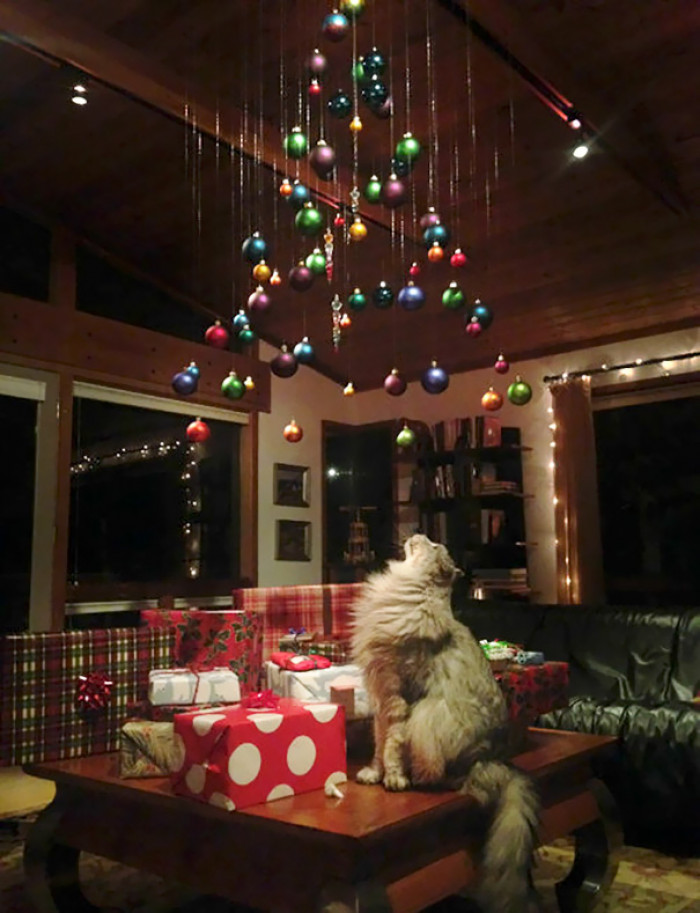 christmas tree cage cat