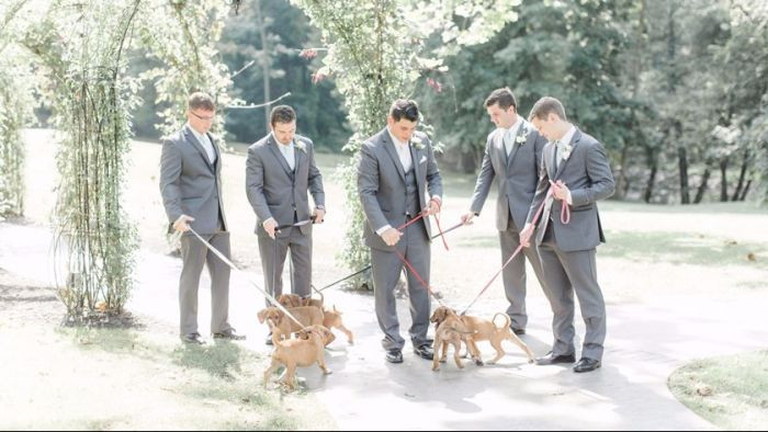 They look even more attractive now.