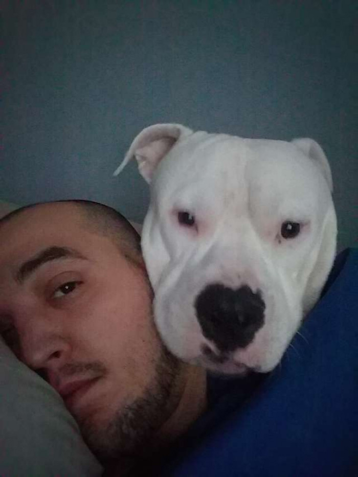 The S.O.A.R. Initiative (Street Outreach Animal Response) raised almost $3,000 in donations to ensure Gemini could get his surgery.