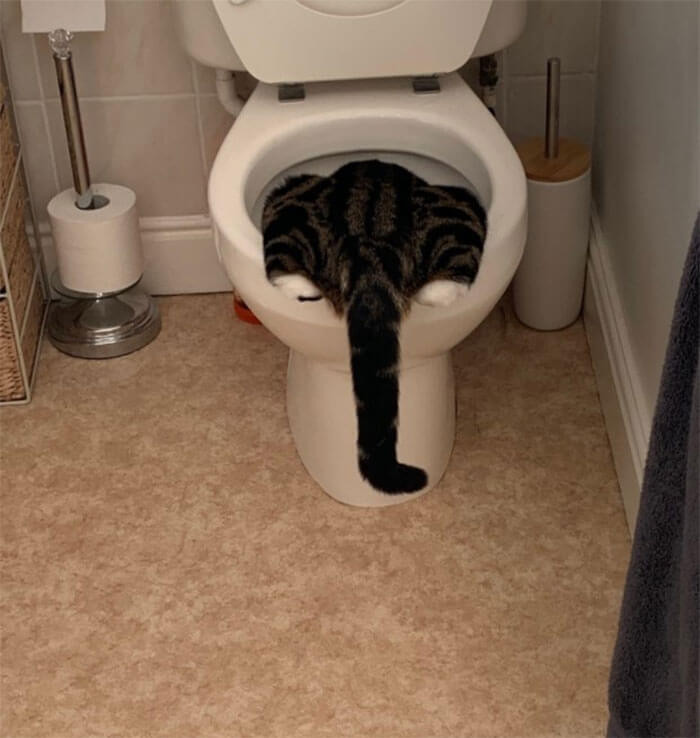 2. Worst hangover ever.