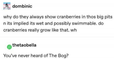 If You Want To Work In The Cranberry Bogs, You Better Be Fine With Wolf Spiders Crawling All Over You