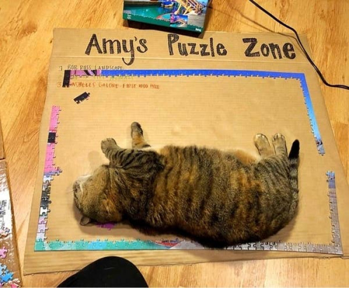 6. It's no longer your zone now