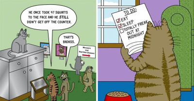 Hilarious Cat Comics to Celebrate Over 20 Years of Work from Scott Metzger