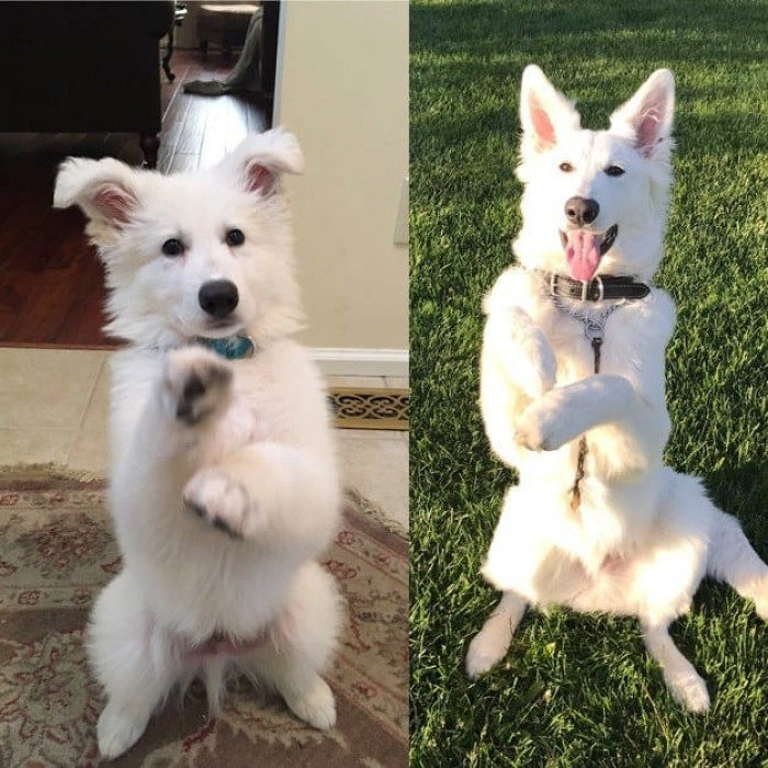 Practice makes perfect