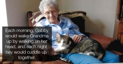 Woman Dies Within Hours of Losing Her Beloved Cat