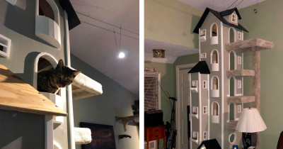 Cat Loving Man Builds A Two Tower Cat Tree For His Cats And It Is Basically A Castle
