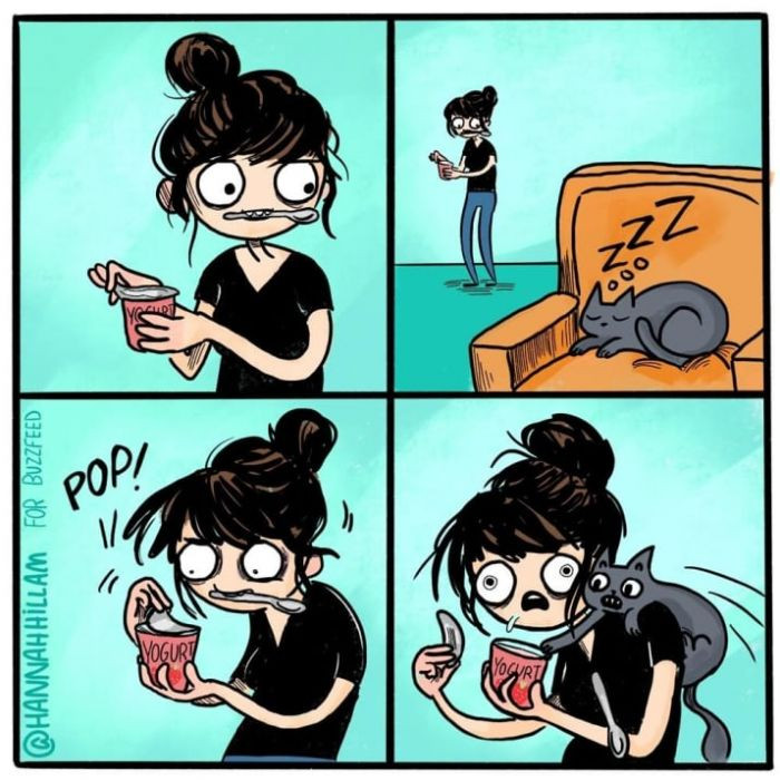 1. What's worse? Cats or toddlers?