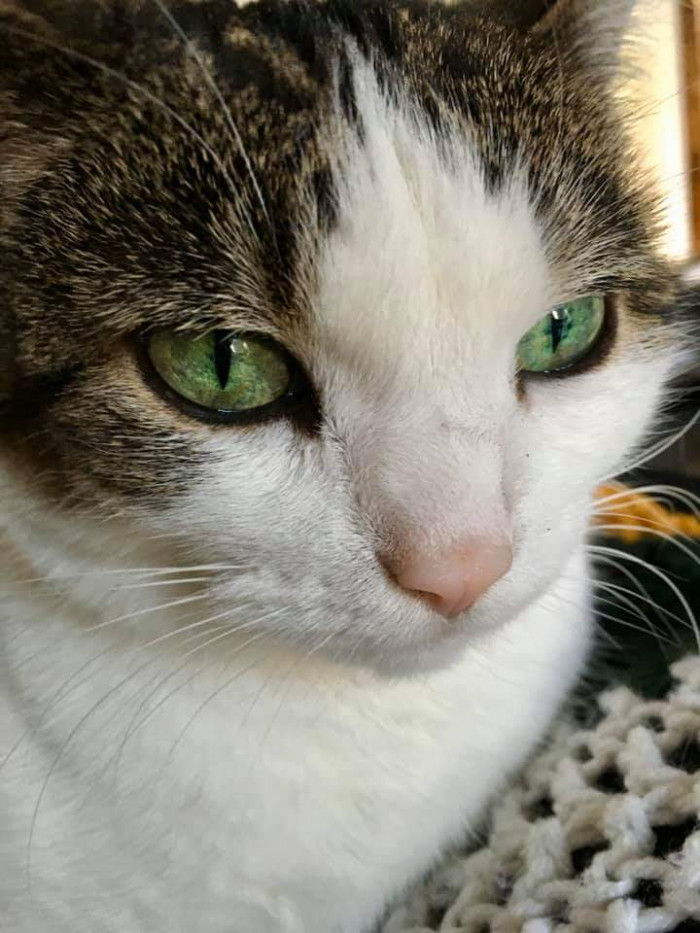 "My Pootie. Rest in paradise, my little love."