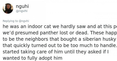 This Woman's Cat Disappeared For Five Years Until They Had This Amazing Reunion