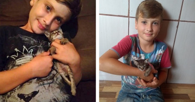 9-Year-Old Boy Builds Tiny Wheelchair For His Furry Kitten In Need Of Help