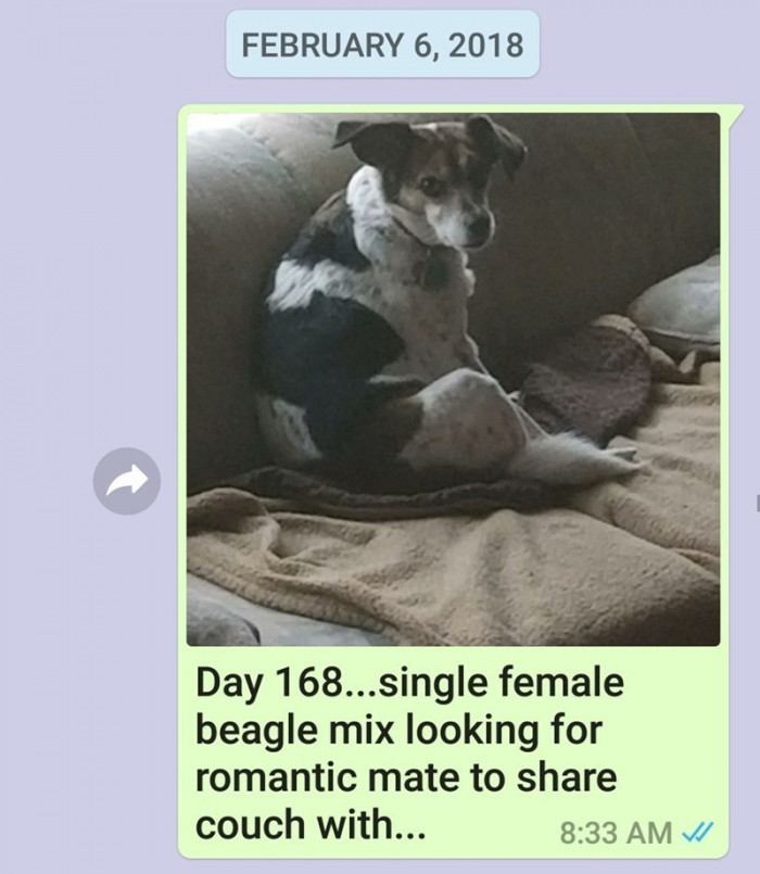 Day 168.