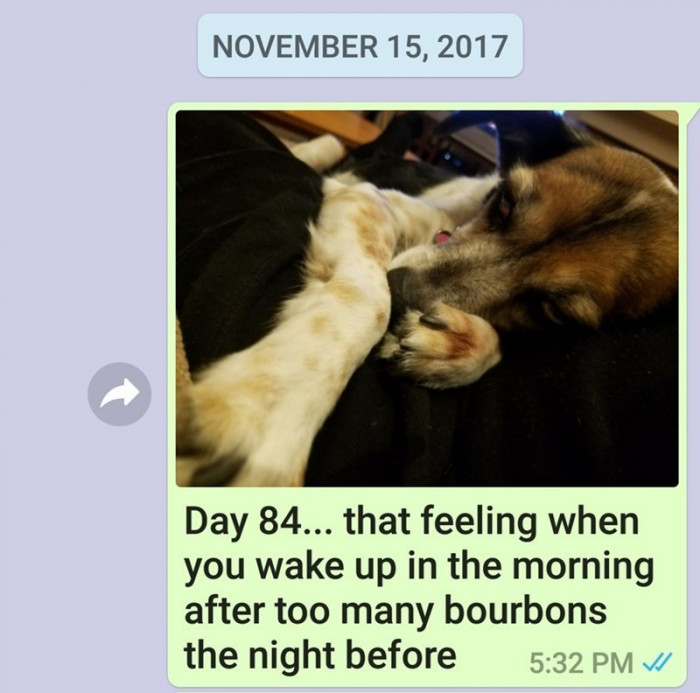 Day 84.