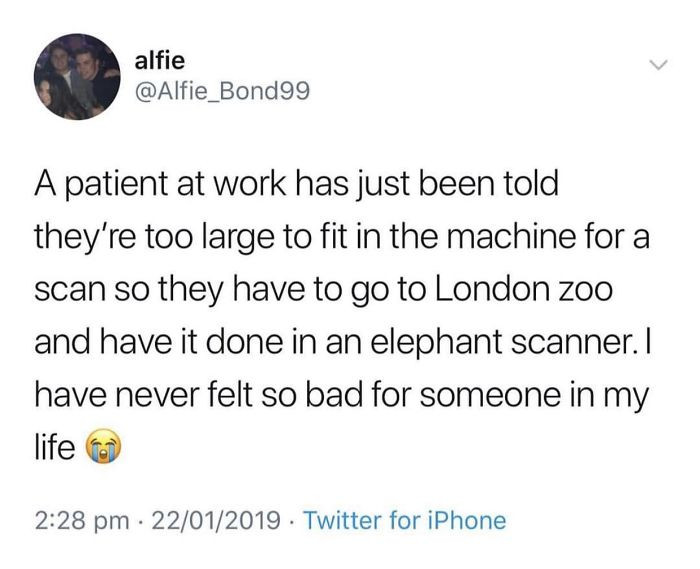 Getting a scan at the zoo