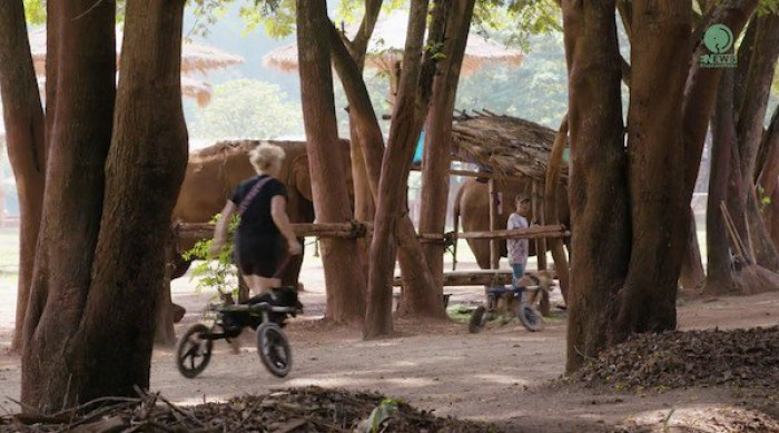 They are allowed to walk outside every day.