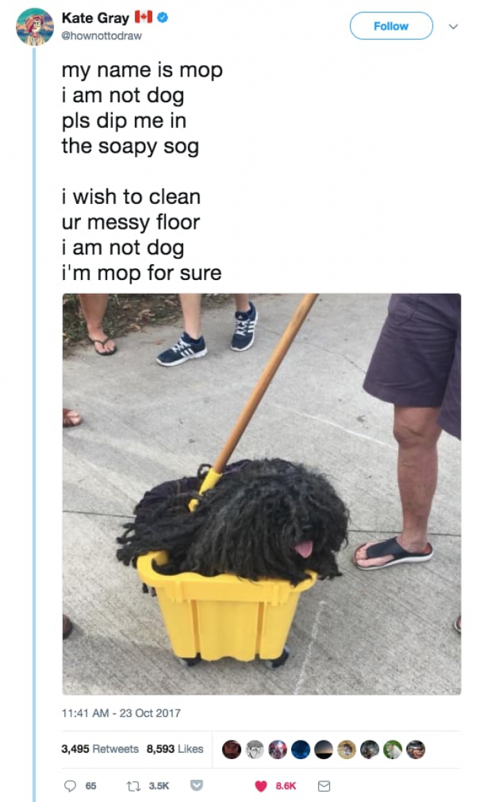 14. This is crazy! A mop with a face!