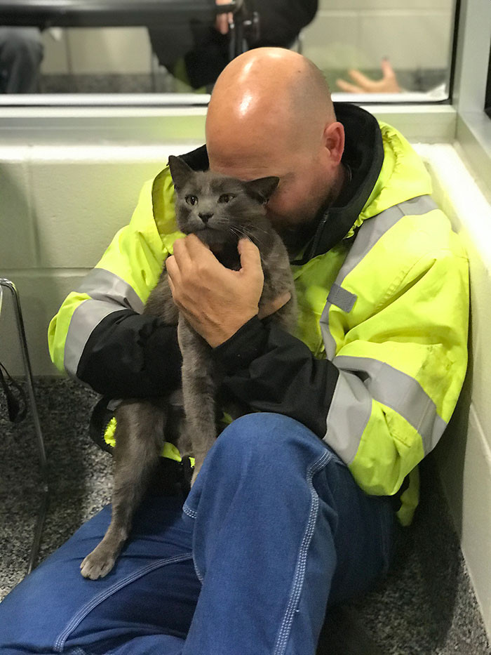 “Our Admissions Team immediately scanned for a microchip, as they do with all incoming pets. Not only did he have one, but he had an owner who had registered him under a Texas address that was over 1,465 miles away! This was one cross-country kitty,” said the organization.