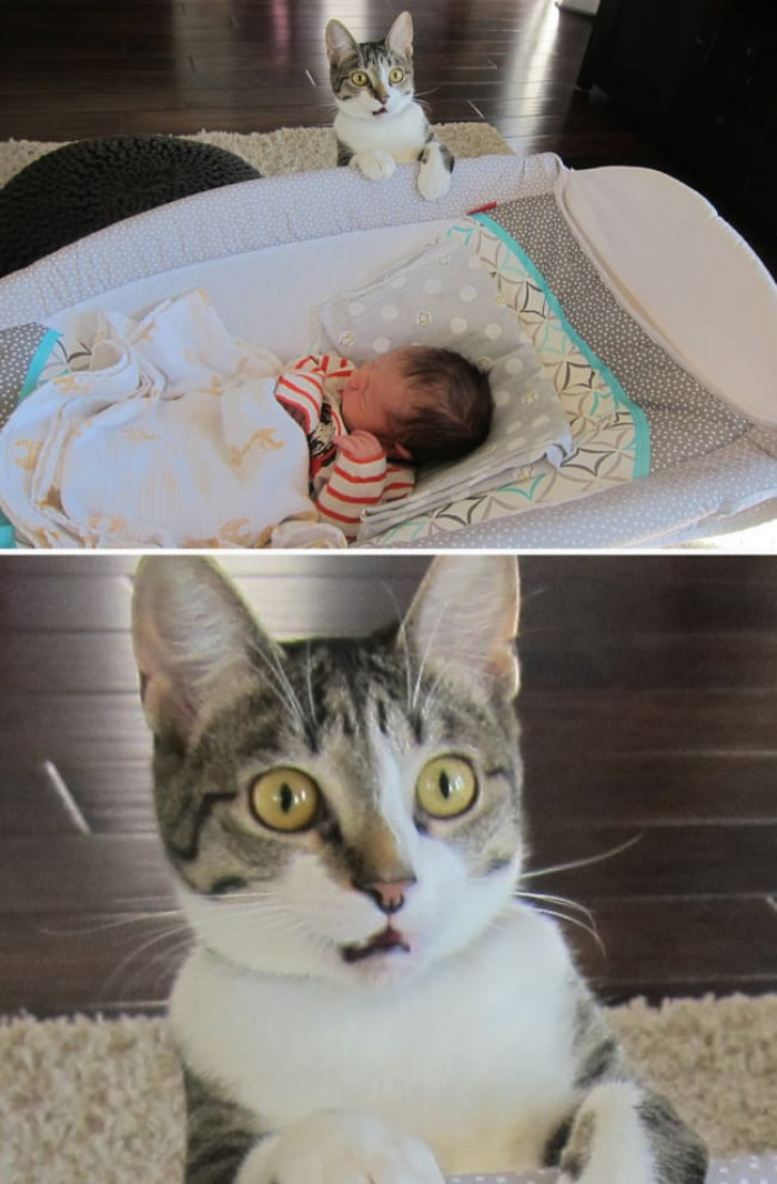 22. "We Forgot to Tell Her That We Had a Baby."