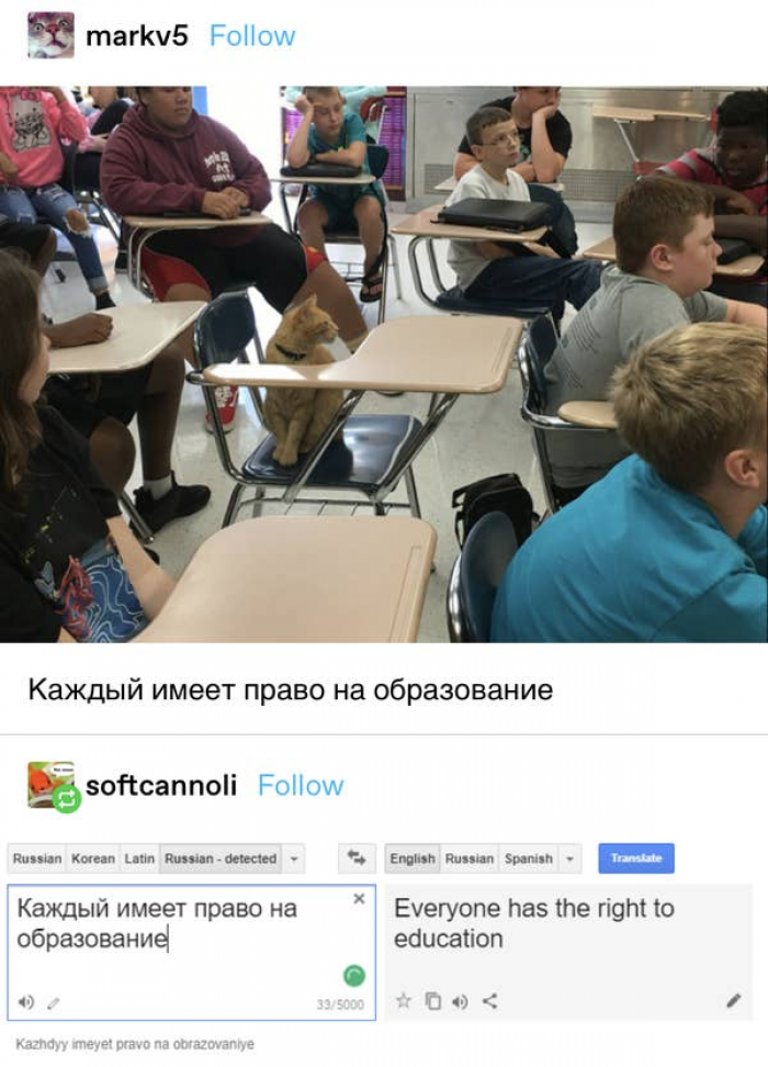 14. Let! Them! Learn!