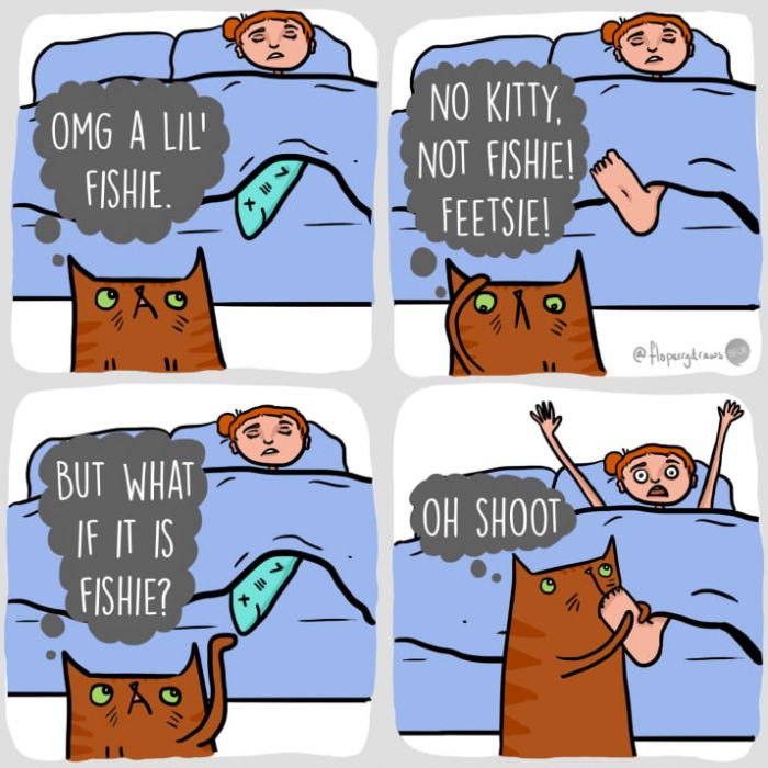 12. The great kitty alarm clock.