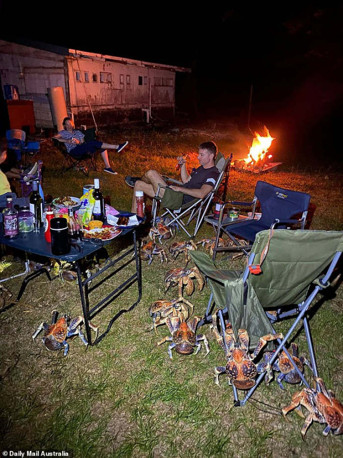 Family Went On A Camping Trip To A Remote Australian Island, But Were Suddenly Surrounded By Big Carnivorous Crabs