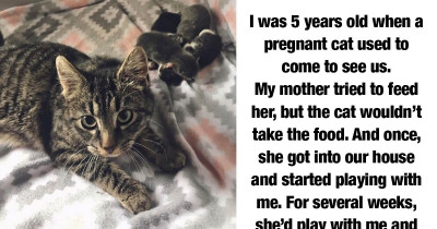 18 Stories About Cats That Will Convince Even The Most Hardcore Dog People That Getting A Feline Is A Good Idea