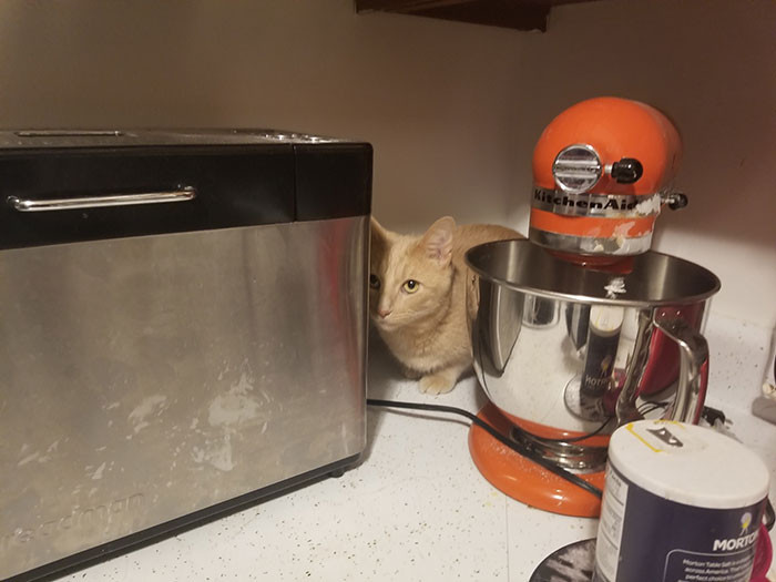 Behind the kitchen aid