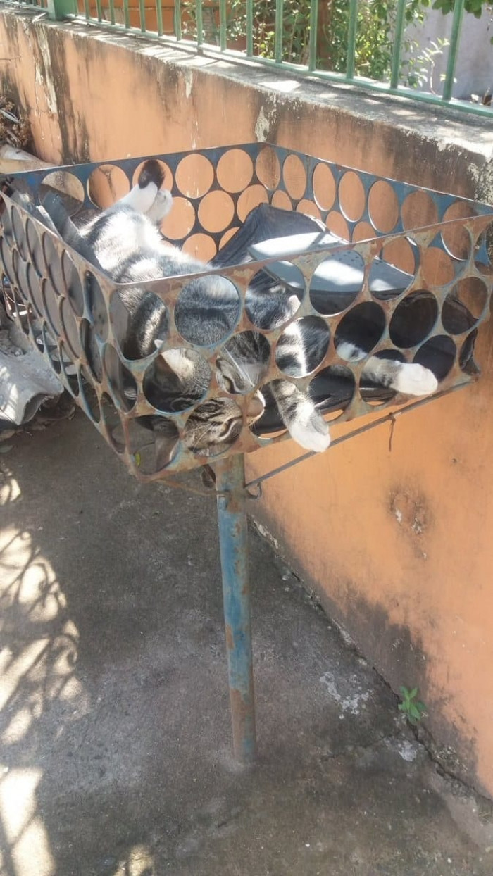 11. Waking up dazed and confused.