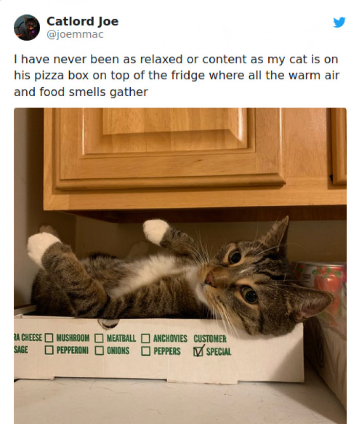 11. I, too, am incredibly envious of this comfort level.