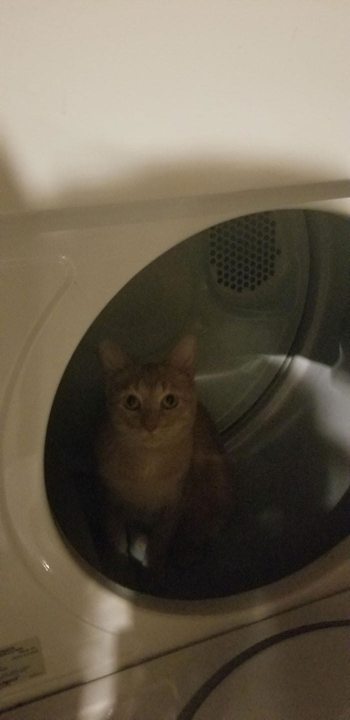 In the washing machine