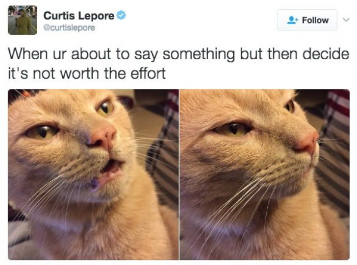 6. You know what...it's not even worth it