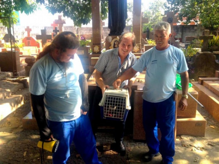 The kitten was certainly not quiet about the whole situation, but thankfully it was also just a little dehydrated, and no serious damage was done to either the kitty or the final resting place of the family in the tomb.