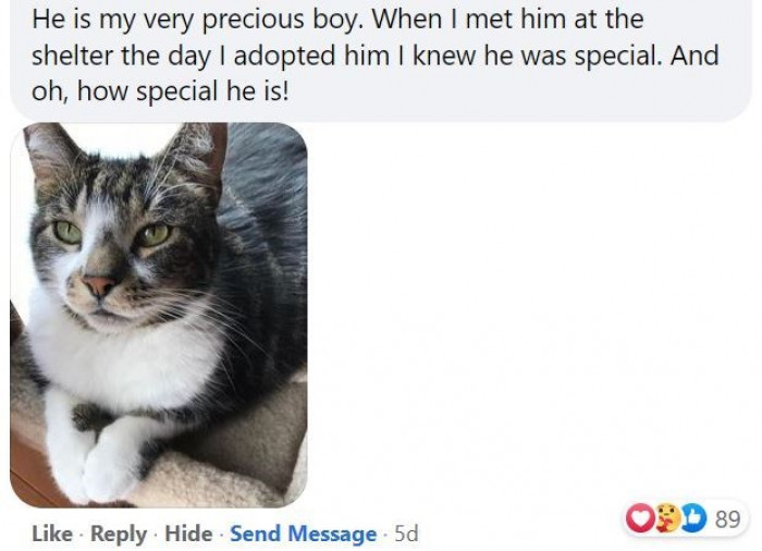 A very special boy indeed!