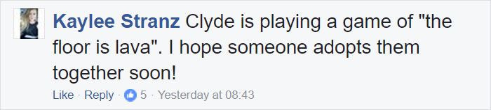 7. Of Course the Internet Loves This.