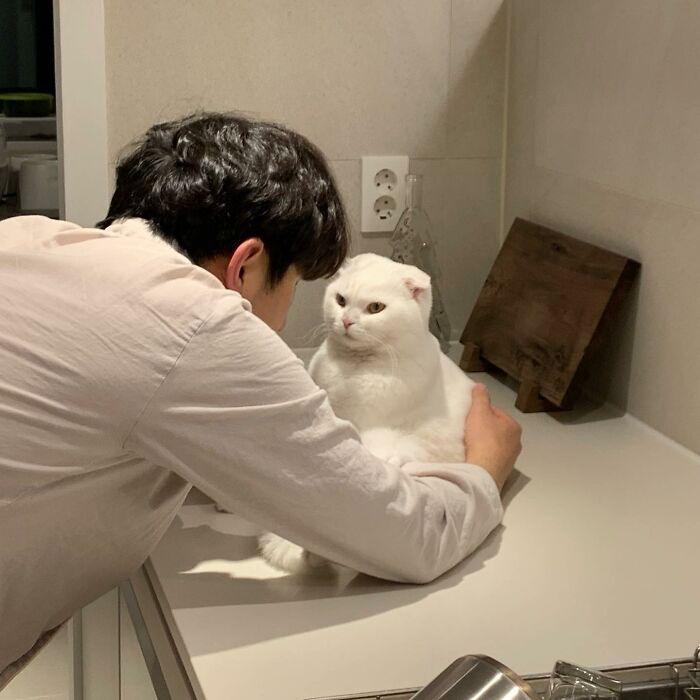 This moment when his owner was trying to cuddle with him went viral on the Internet.