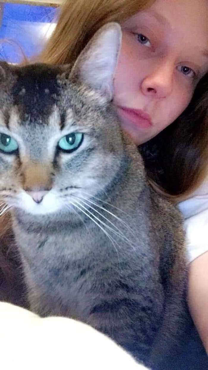 "My kitty has the prettiest eyes."