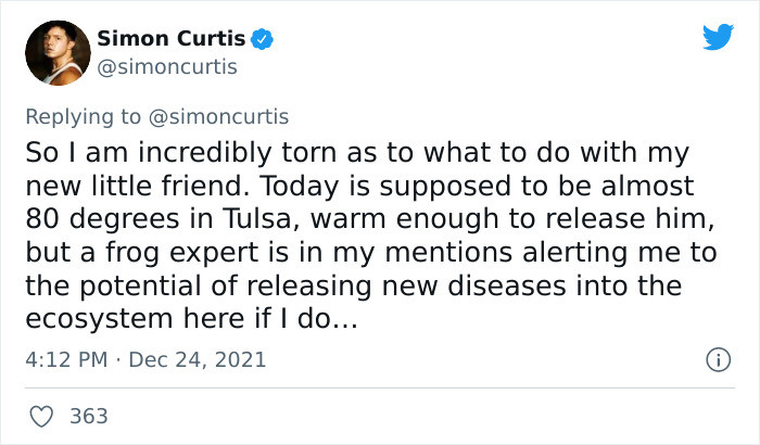 Curtis Is Wondering What's the Best Thing to Do