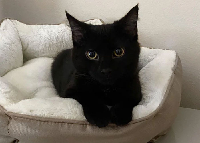 Just take a look at him...