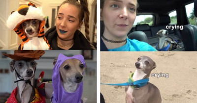 17 Times Jenna Marbles' Adorable Dog Kermit Brought Us Moments of Pure Joy