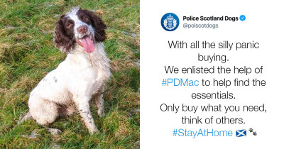 Police Dog Was Taught To Sniff Out Hidden Toilet Paper In An Attempt To Cheer People Up During The Pandemic