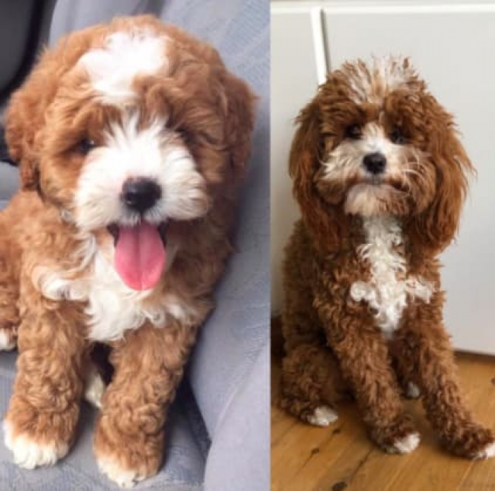 I love that the fluff continued strong!