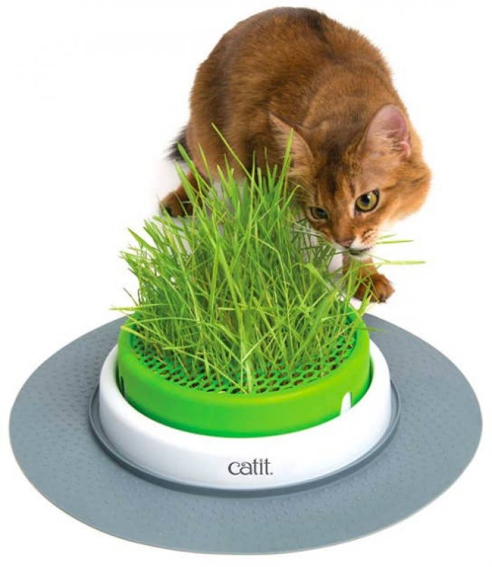 2. Catit Grass Planter
