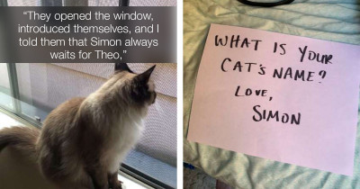When Simon Met Theo: A Love Story Between Two Cats