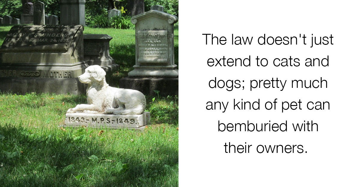 A New Law Now Allows Humans To Be Buried With Their Pets