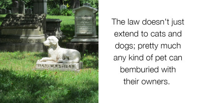 A New Law Now Allows Humans To Be Buried With Their Pets