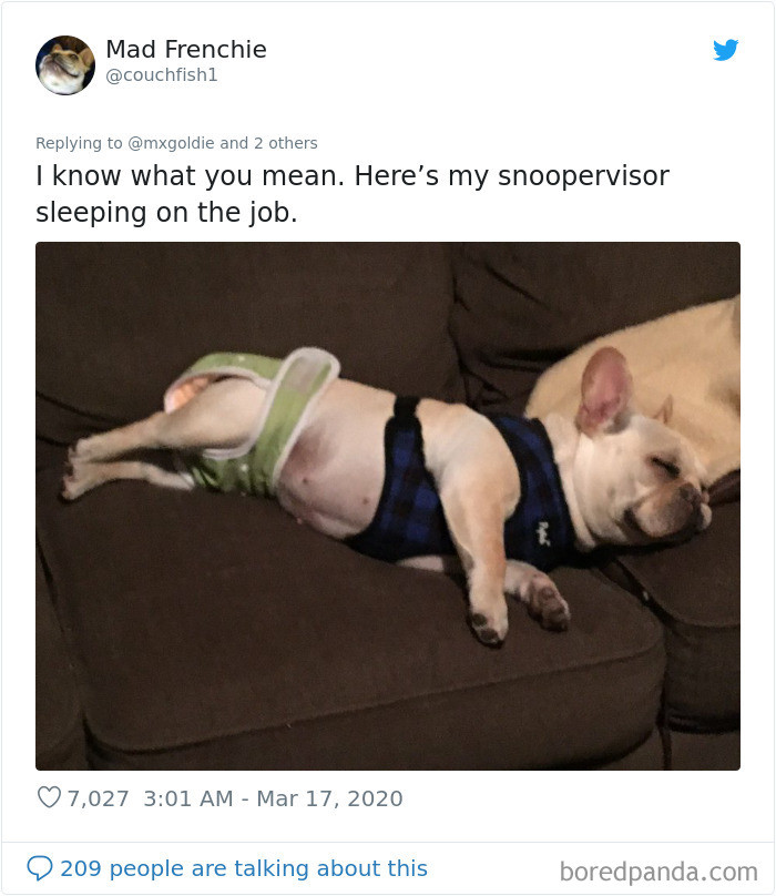 8. Snoopervisor